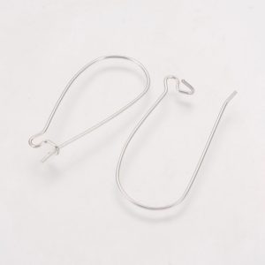 Long Ear Wires - Silver Plated - Riverside Beads