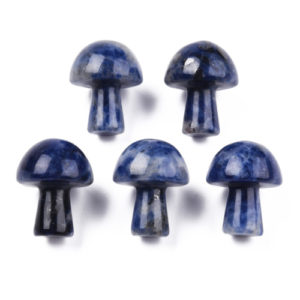Sodalite GuaSha Stone Mushroom - Riverside Beads