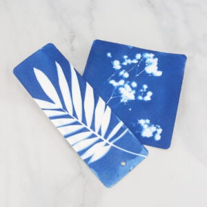 26th October only - Cyanotype Printing Workshop